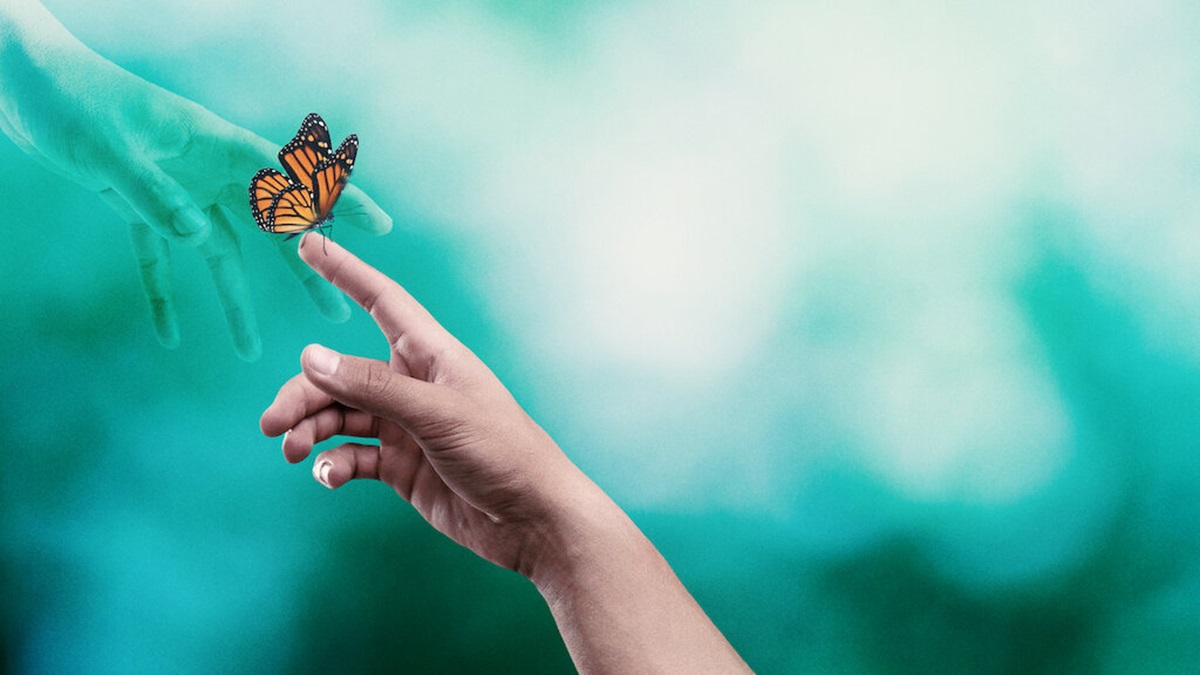 supraviețuind morții serie tv netflix complot distribuție recenzie trailer