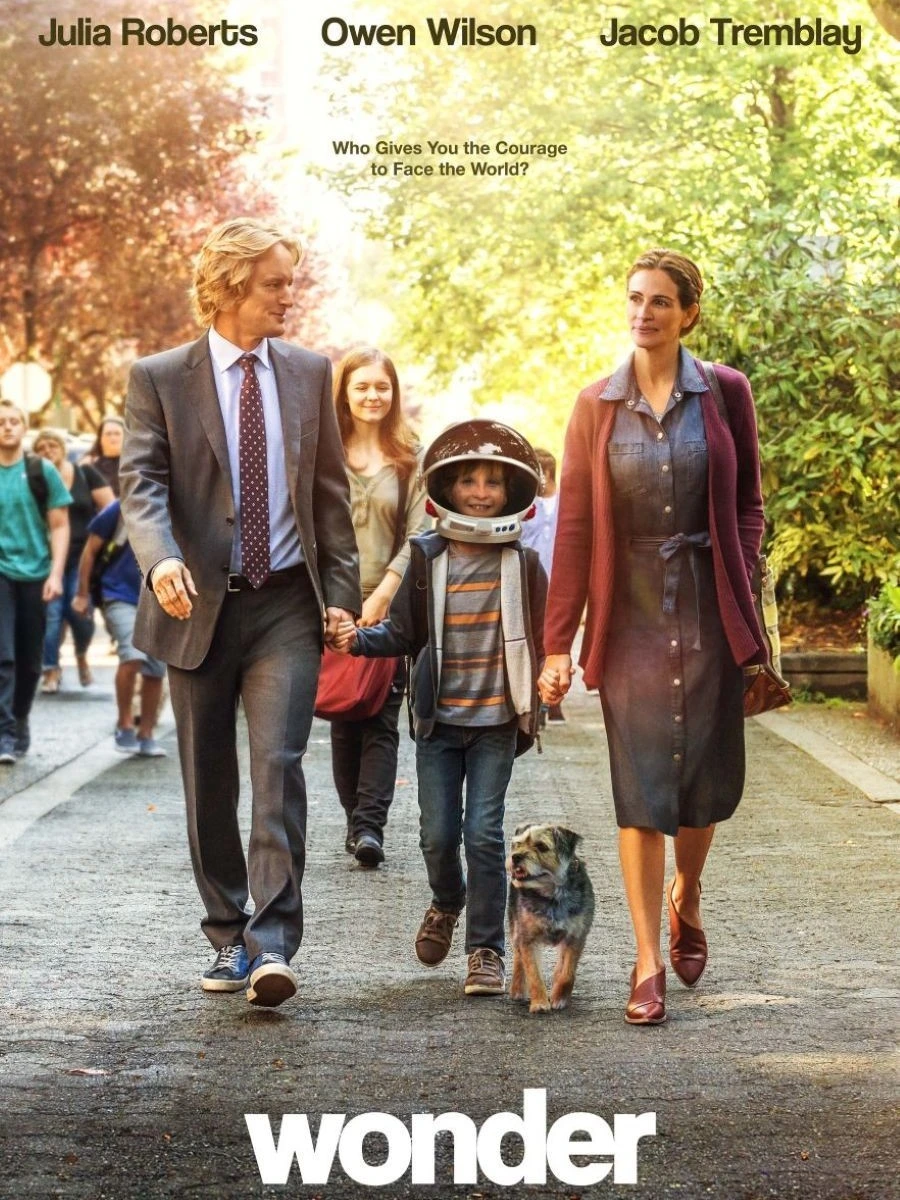 Minunea - Wonder 2017