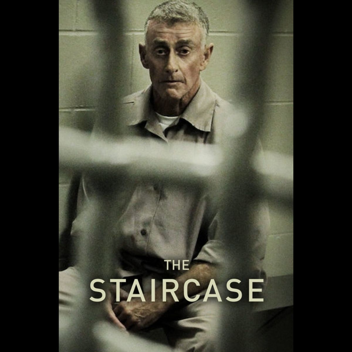 Atenție, fanii genului true crime! 10 povești șocante din viața reală - aceste documentare care fac furori pe Netflix 11 The Straircase