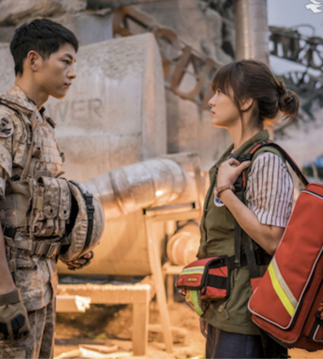 Descendants of the sun