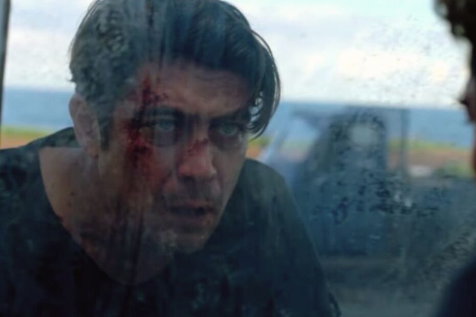 Dispăruți în noapte