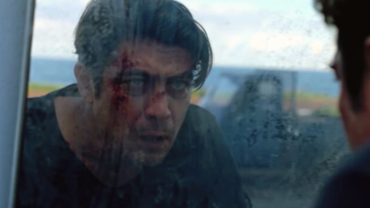 Dispăruți în noapte