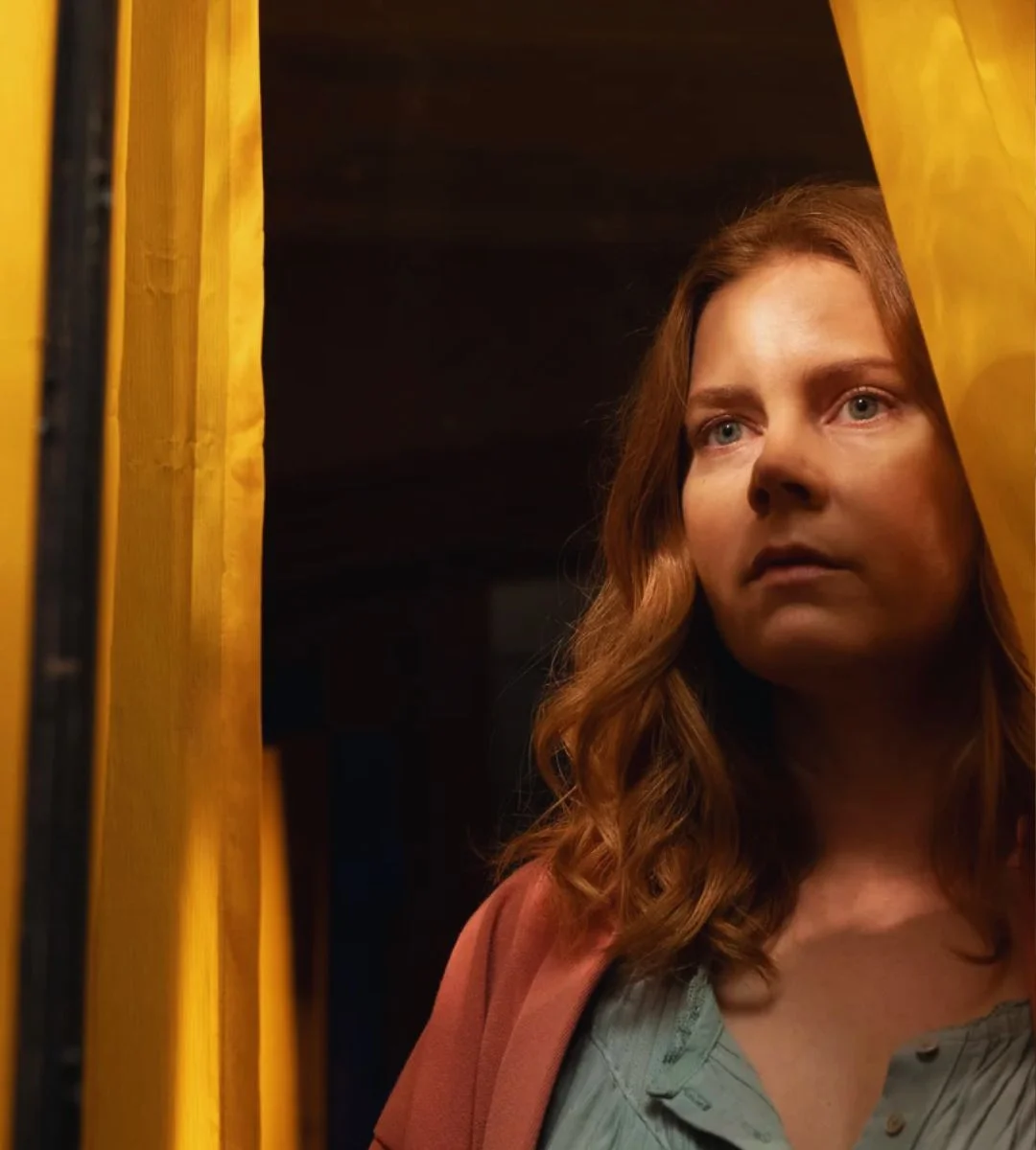Acum pe Netflix: un thriller psihologic despre izolare, percepție și adevăr fragil 2 Femeia de la fereastră