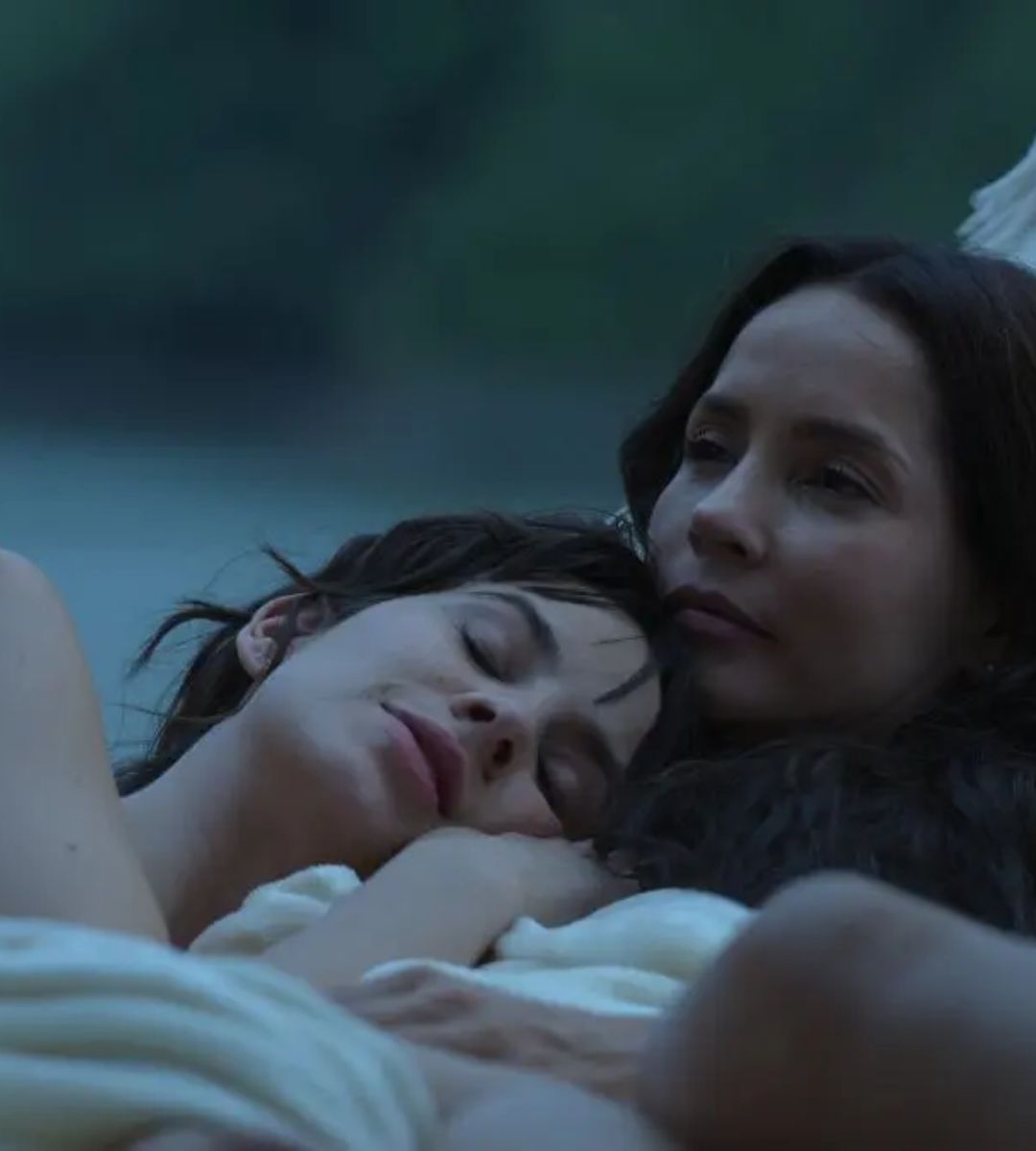 Pe Netflix serialul care arată că uneori pericolul nu vine din stradă, ci e deja în casa ta. 1 Musafira (The Guest, titlu original: La Huésped)