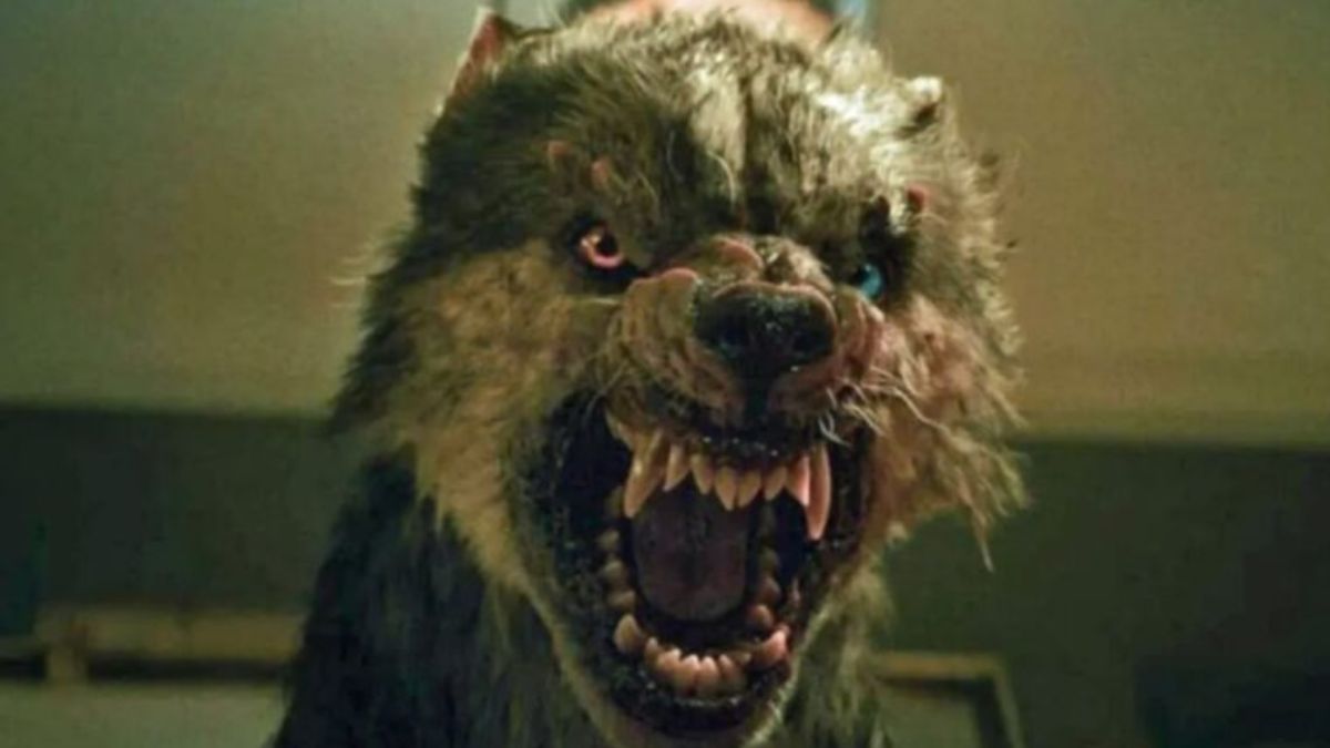 Lupul viking pe Netflix horrorul norvegian între vârcolaci și mituri nordice