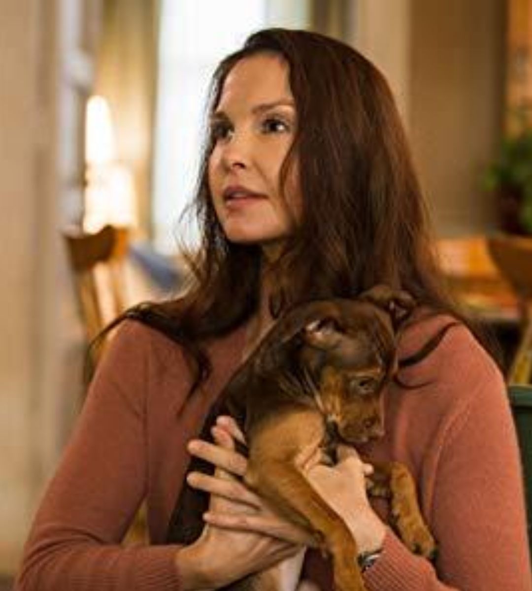 Drumul unui câine către casă Ashley Judd