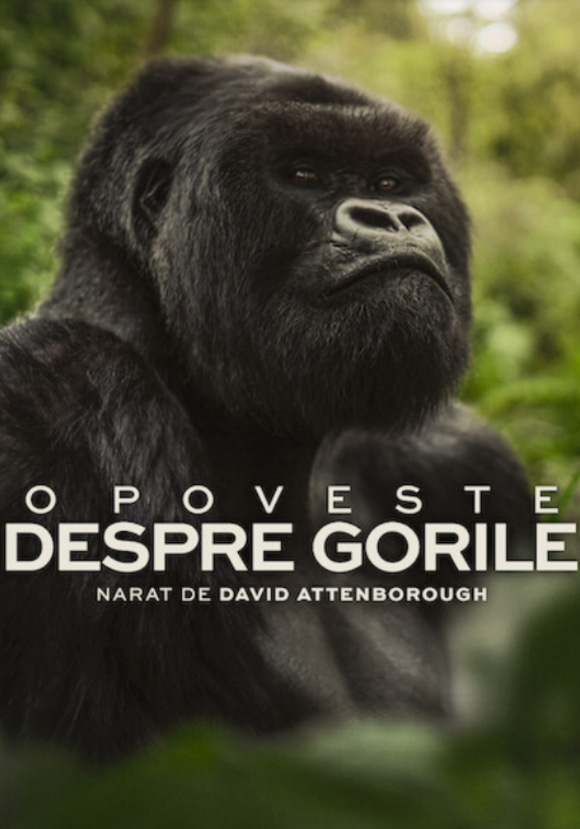 O poveste despre gorile