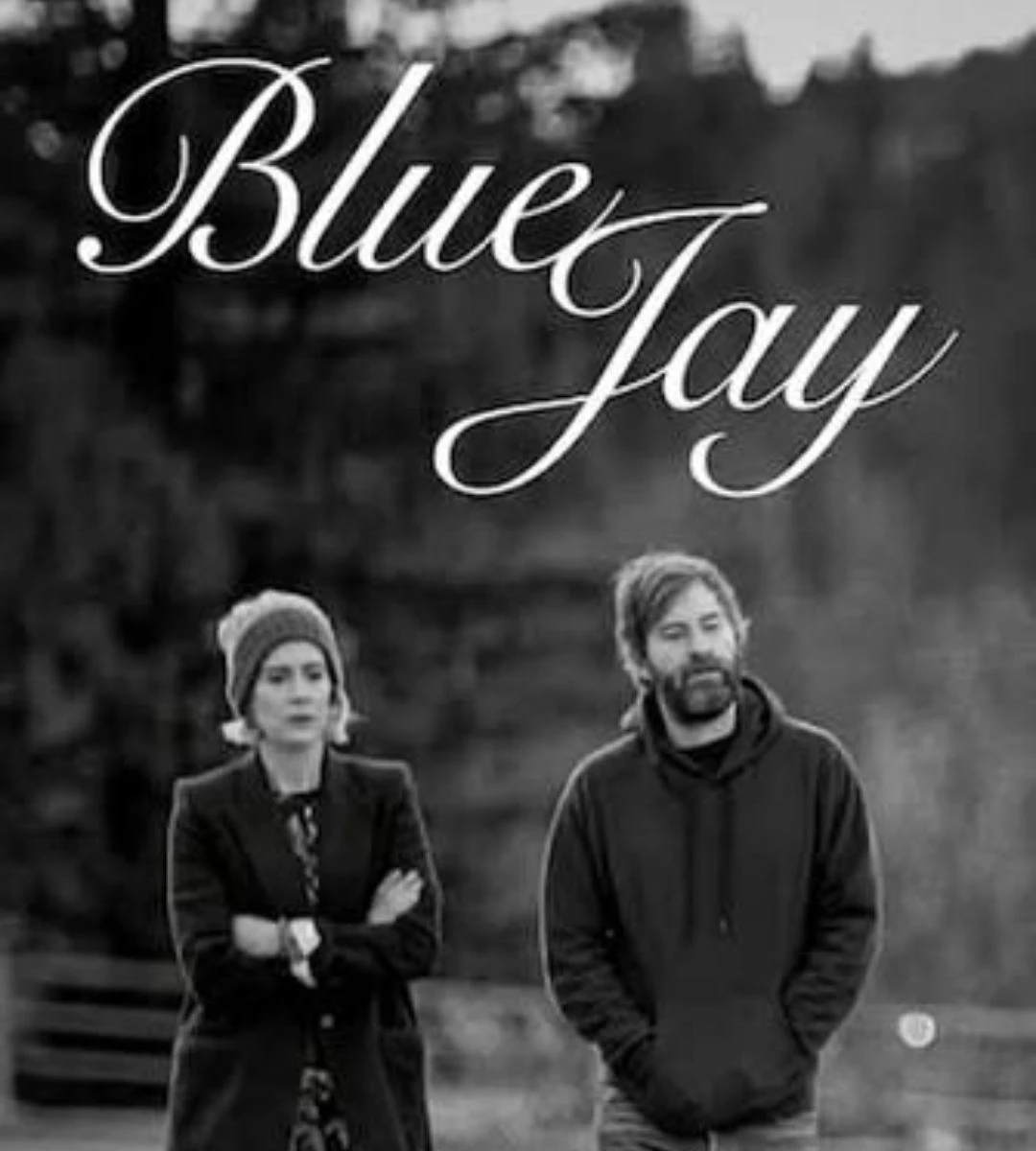 Blue Jay: drama despre o iubire regăsită după 20 de ani